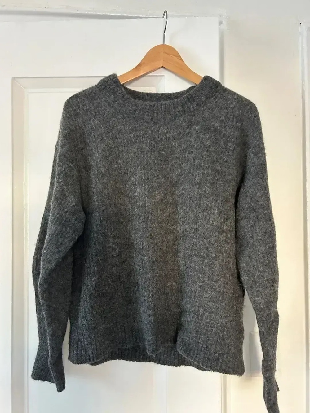 Everlane Cocoon Crew in Alpaca